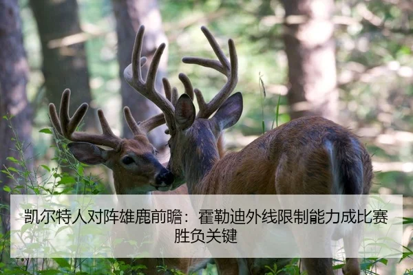 凯尔特人对阵雄鹿前瞻：霍勒迪外线限制能力成比赛胜负关键