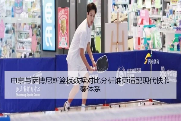 申京与萨博尼斯篮板数据对比分析谁更适配现代快节奏体系